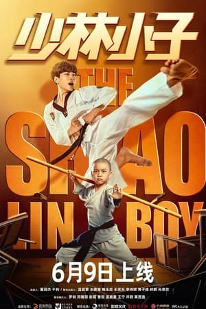 Image The Shaolin Boy