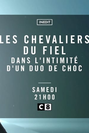 Poster Les Chevaliers du Fiel - Dans l'intimité d'un duo de choc (2018)