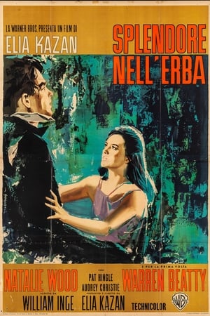 Poster Splendore nell'erba 1961