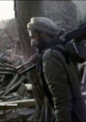 Les combattants de l'insolence