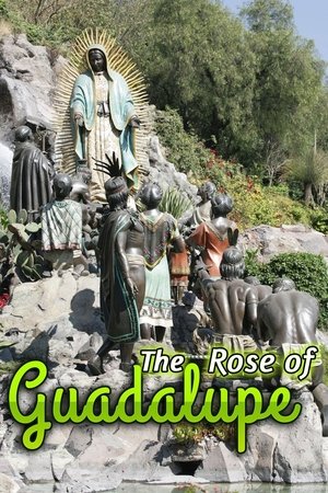 La rosa de Guadalupe - Season 14