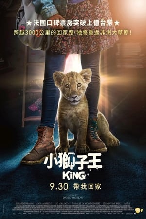 Poster 我的小狮子王 2022