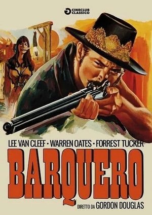 Image Barquero