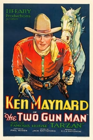 The Two Gun Man poster