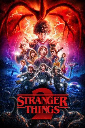 Stranger Things (2017) NF WEBRip S02 Hindi + Multi 1080p x264 AVC DDP 5.1 ESub