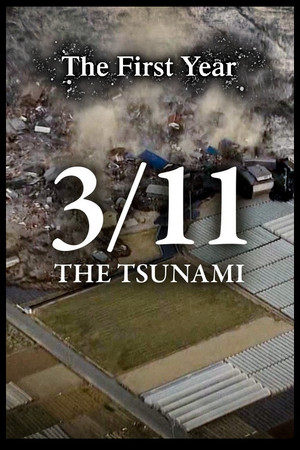 3/11 - The Tsunami: The First Year (2021)