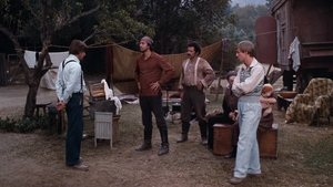 Die Waltons: 1×19