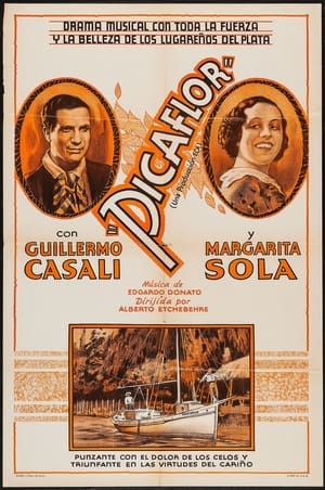 Poster Picaflor (1935)