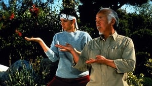 Karate Kid 3: El desafío final (1989) HD 1080p Latino