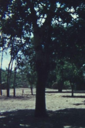 Mussa: A Makonde Village
