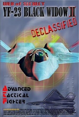 Image Web of Secrecy: Black Widow II Declassified