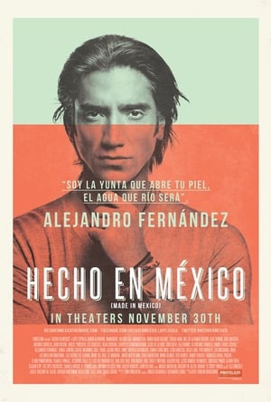Poster Made in Mexico 2012