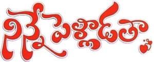నిన్నే పెళ్ళాడతా — Logos 1