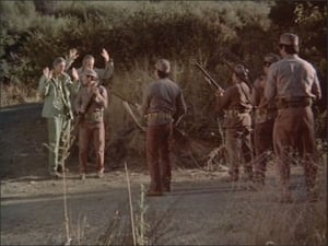 M*A*S*H: 8×10