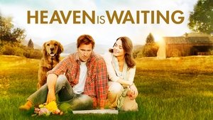 Midway to Heaven film complet