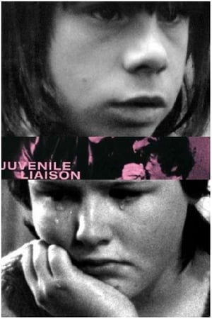 Juvenile Liaison film complet