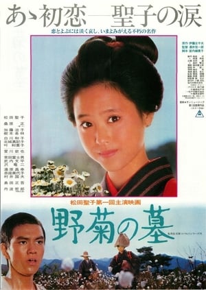 Poster 野菊の墓 1981