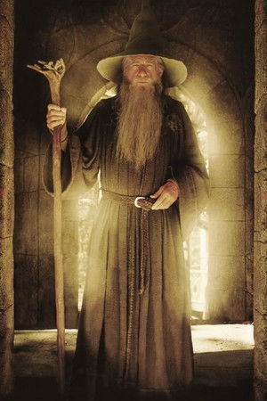 poster The Lord of the Rings: The Fellowship of the Ring