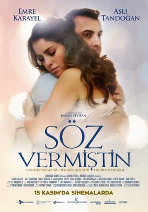 Poster Söz Vermiştin 2019