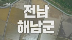 Episode 166