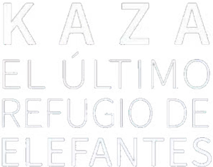 Kaza: The Last Refuge of Elephants