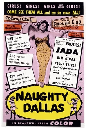 Naughty Dallas film complet