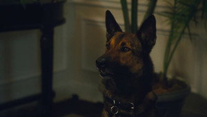 Max 2: White House Hero (2017) Subtitle Indonesia