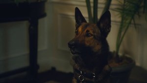 Max 2: El héroe de la Casa Blanca (2017)