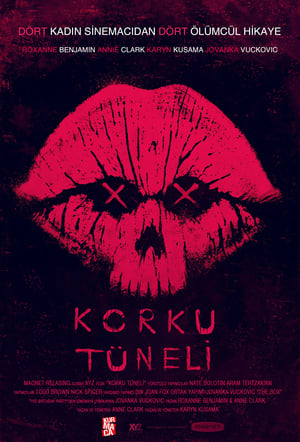 Korku Tüneli (2017)