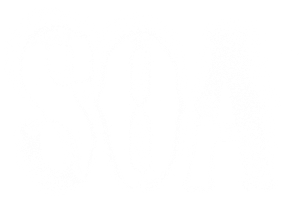 Ảnh 294