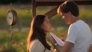 Images posters