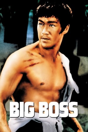 Poster The Big Boss 1971