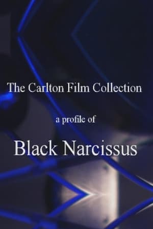 A Profile of Black Narcissus poster