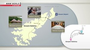 Journeys in Japan: 14×18