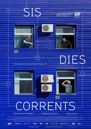 Poster Sis dies corrents 2021