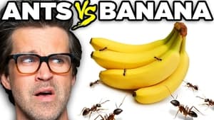 Good Mythical Morning Ants vs. Food (Game)