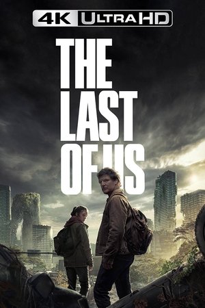 poster The Last of Us - Season 1 Episode 5 : Endure and Survive