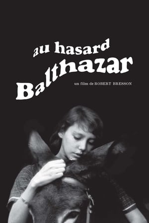 Zum Beispiel Balthazar Film