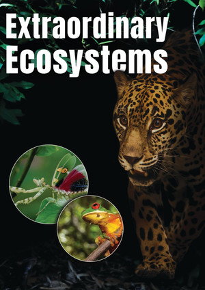 Extraordinary Ecosystems 3