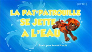 Paw Patrol Helfer auf vier Pfoten: 1×28