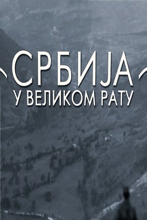 Poster Srbija u Velikom ratu 2014