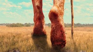 Images posters