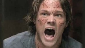 Supernatural 4 x 21