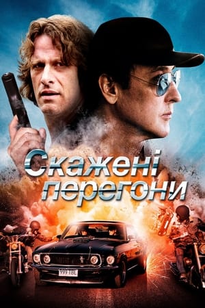 Poster Скажені перегони 2014