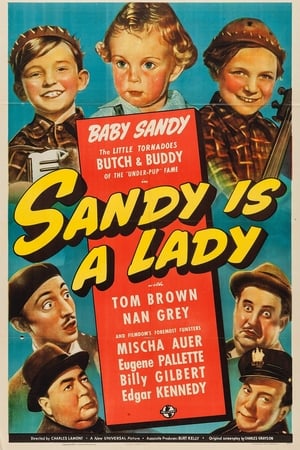 Sandy Is a Lady poster
