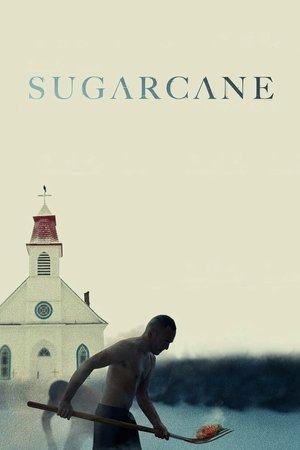 Image Sugarcane