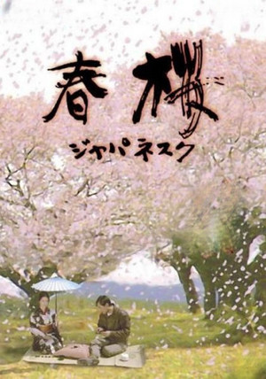 Cherry Blossoms in Spring 2