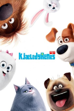 <Images posters