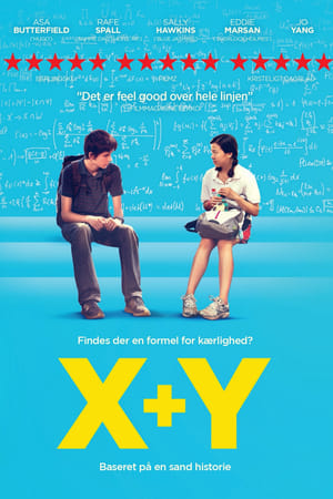 Poster X+Y 2014