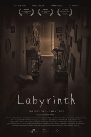 Poster Labyrinth (2016)